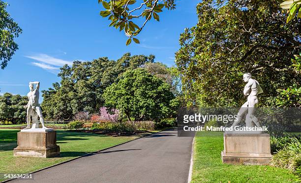 'the boxers' statues botanic gardens - royal botanic gardens sydney stock-fotos und bilder
