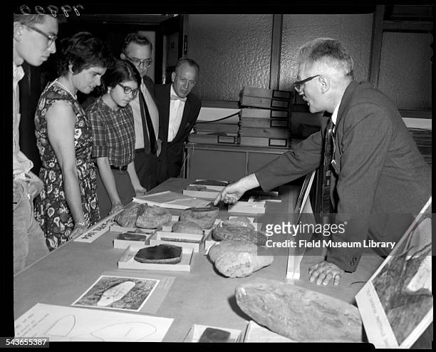 During Members' Night at the Field Museum, Rainer Zangerl of the Geology department shows visitors shark fossil specimens, Chicago, Illinois, May 8,...