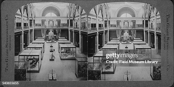 Stereoscopic view of the West Court of the Field Museum, with dioramas in standing cases at the Field Columbian Museum, Chicago, Illinois, 1897. A...
