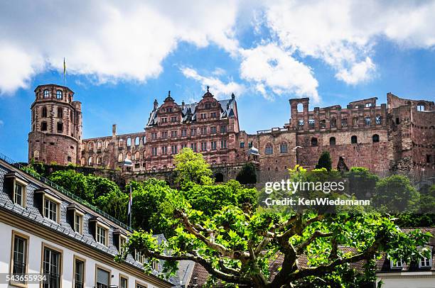 heidelberg castle - heidelberg germany stock pictures, royalty-free photos & images