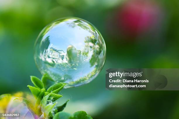 macro bubbles - relfection stock pictures, royalty-free photos & images