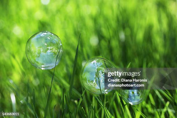 macro bubbles - relfection stock pictures, royalty-free photos & images