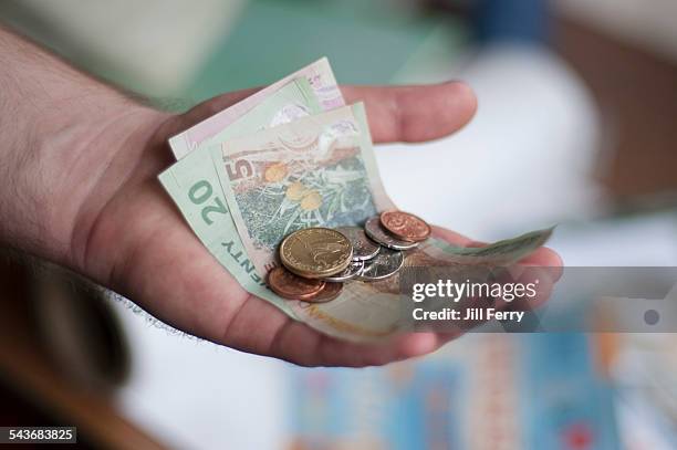 currency - new zealand money photos et images de collection