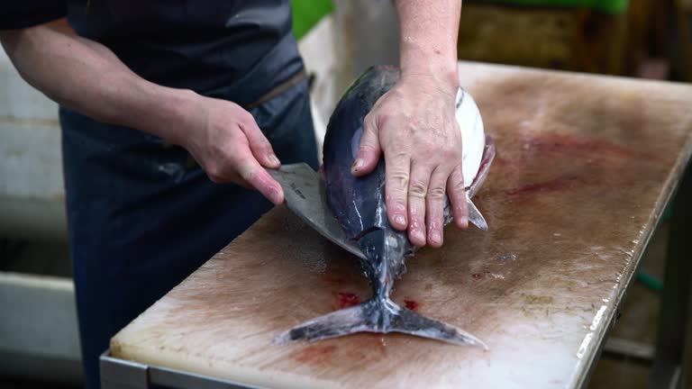 Tuna Process Tuna Processing Videos and HD Footage - Getty Images