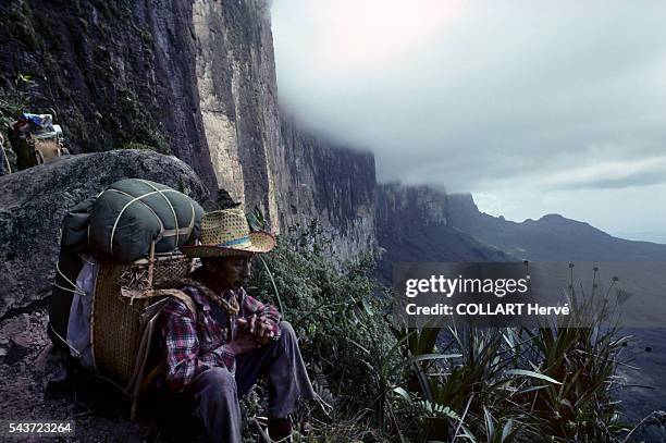 The Mount Roraima aka Tepuy Roraima and Cerro Roraimais the highest of the Pakaraima chain of tepui plateau in South America. First described by the...