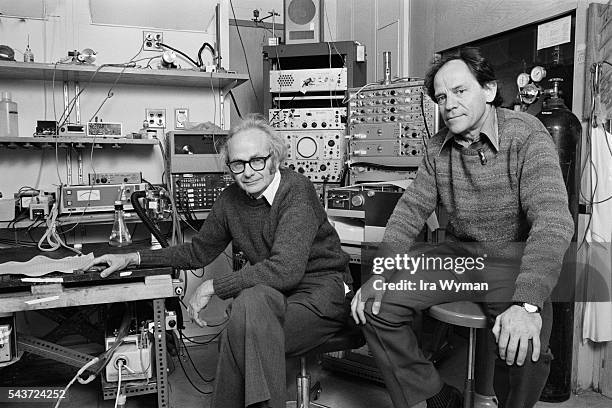 Hubel 105 Hubel Stock Photos, High-Res Pictures, and Images - Getty Images