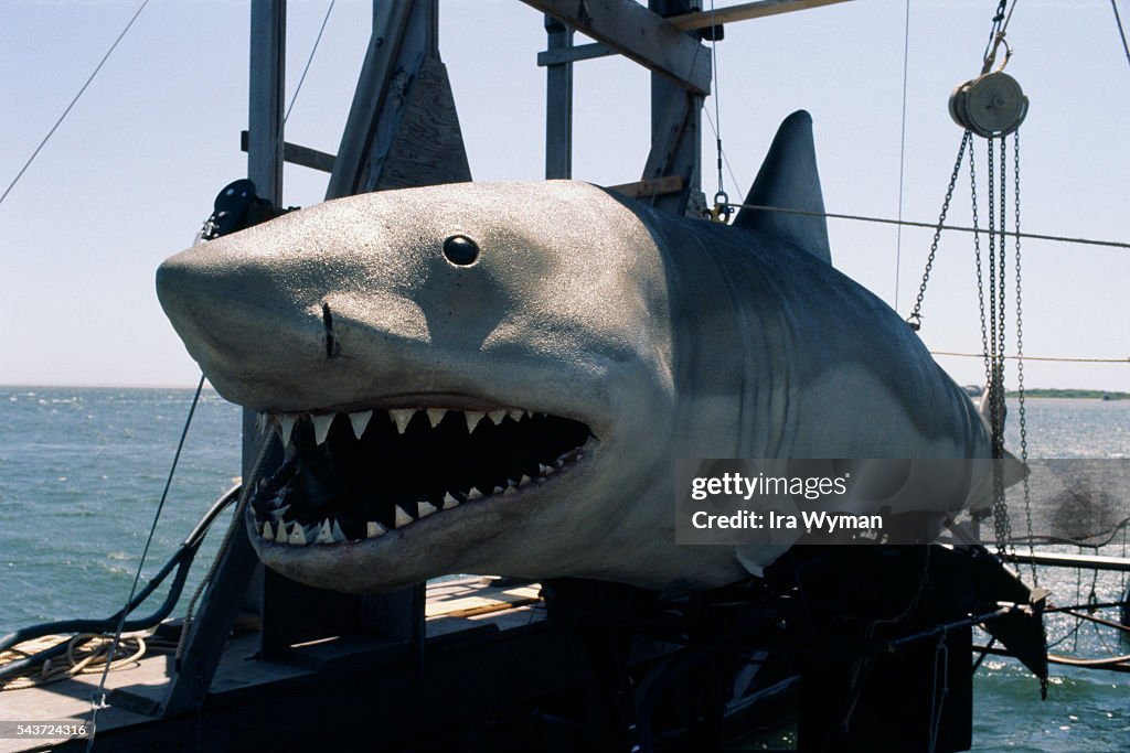 Jaws Setting On the set of Jaws 2 by French director Jeannot Szwarc. Photo d ...