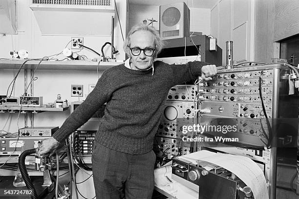 Hubel Hubel Photos and Premium High Res Pictures - Getty Images