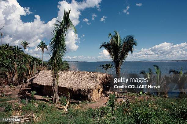 Shelters made from palm leaves on the shores of the Tocantins river built to house nut harvesters from Para, near the Tucurui dam.