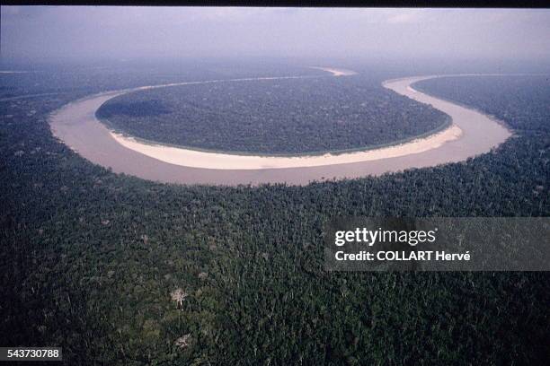 Amazon Meanders 88 Jurua Fotos de stock, imagens de alta resolução e imagens - Getty Images