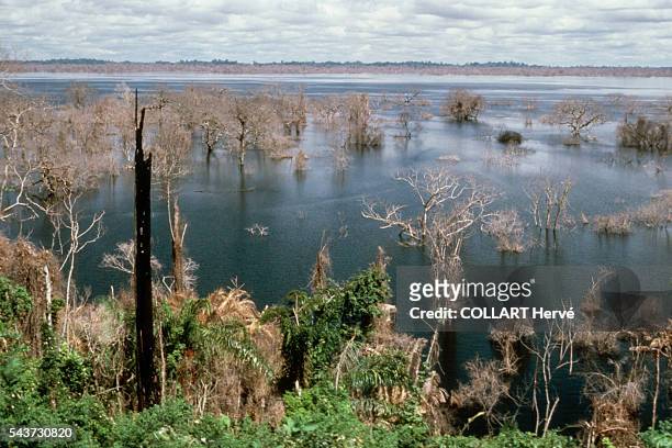 Km 2 section of forest was drowned to form the Tucurui reservoir on the Tocantins river. An ecological disaster.