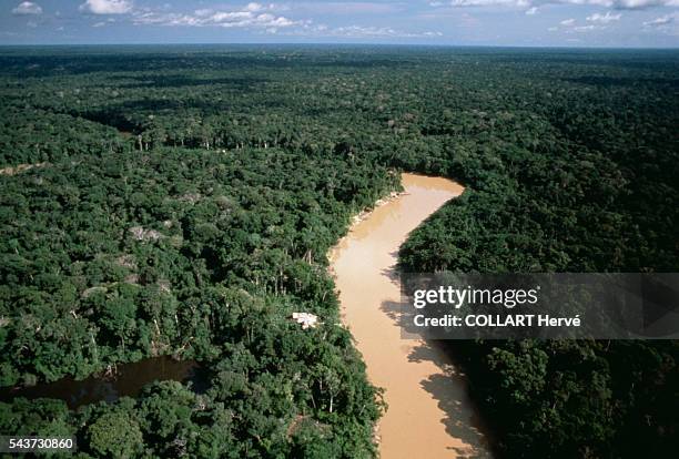 The Mucajai river in Yanomami territory in Brazil.