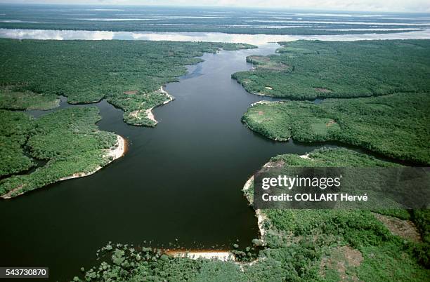 Few hours from Manaus, the labyrinth of the Anavilhanas islands stretches through the Rio Negro.