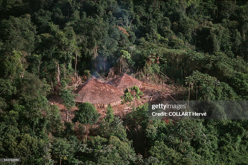 Yanomami Houses
