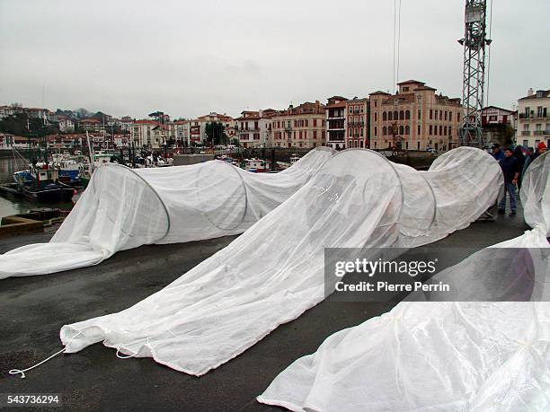 The crew of the boat "L'ile aux Faisans" prepares the new pollution-reducing nets that are part of the device used to fight against a possible oil...