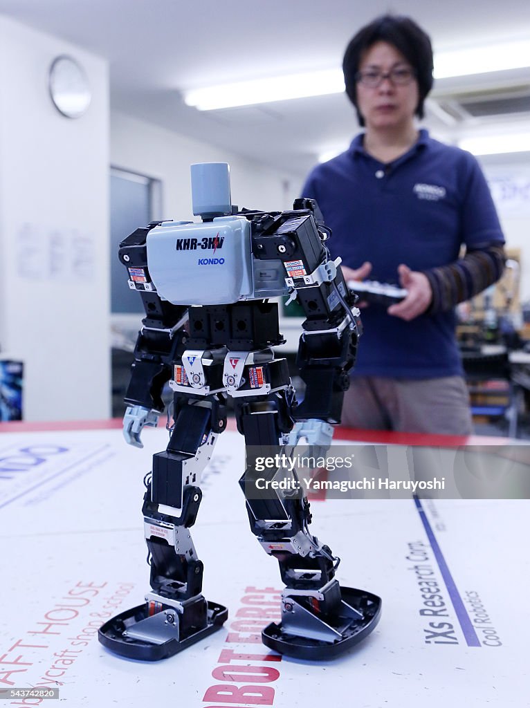 Japan Robot