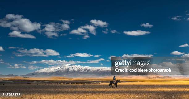 nomad riding horse at grass field with tsambagarav mountain background - mongolei stock-fotos und bilder