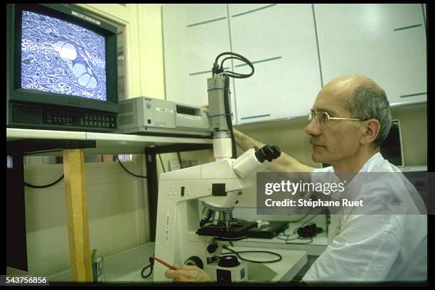 Patrick Belli working on the brain of a cow that had developed B.S.E.