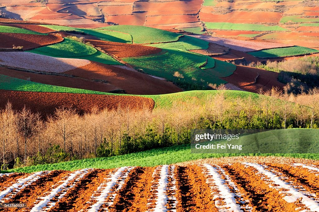 Red soil in Yunnan Province