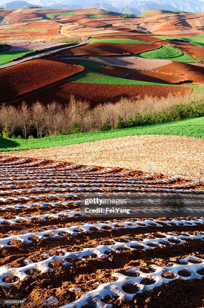 Red soil in Yunnan Province