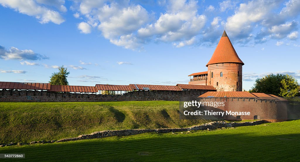Kaunas's castle