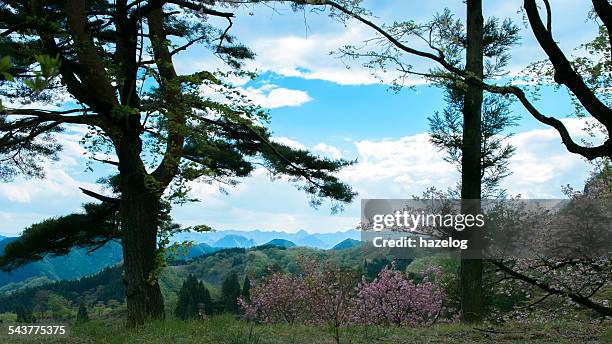 beautiful spring mountain landscape - karuizawa stock-fotos und bilder