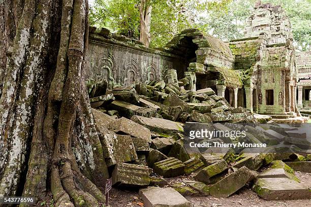 Siem Reap, Kingdom of Cambodia, August 12; 2006. -- Ta Prohm temple built in the late 12th and early 13th centuries and originally called Rajavihara....