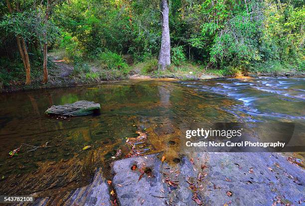 river of 1000 linggas in phnom kulen national park. - cambodian khmer rouge tourism stock pictures, royalty-free photos & images