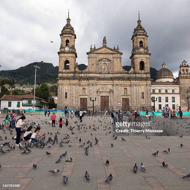 Bogotá, Republic of Colombia, August 3, 2015. -- Girls are feeding pigeons in front f Primatial Cathedral of Bogotá in Plaza de Bolivar.