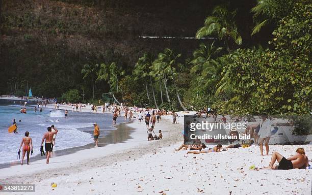 Strandszene am Magen`s Bay auf der Insel St. Thomas in der Karibik: Menschen liegen im hellen Sand des von Palmen und Sträuchern gesäumten Strandes,...