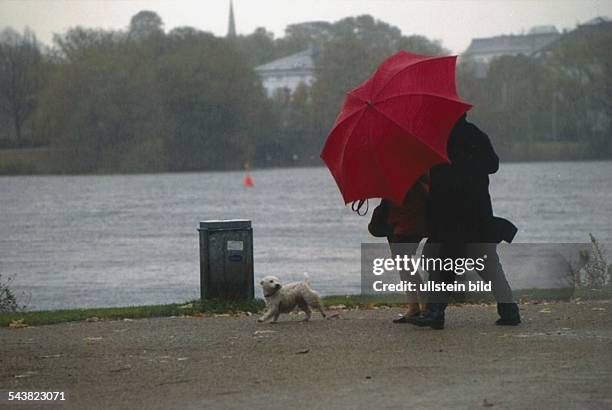 Ein Mann und eine Frau gehen gegen den Wind gebeugt an der Außenalster in Hamburg im Regen spazieren. Sie sind durch einen großen, roten Regenschirm...
