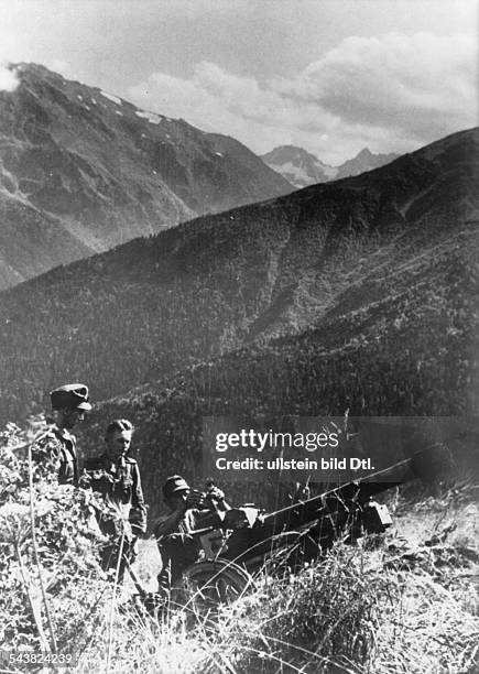 1st Mountain Division of the German Wehrmacht; mountain infantry at Caucasus