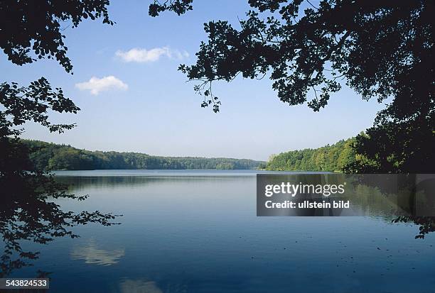 Blick durch die belaubten Äste eines Baumes auf den von Wald umgebenen Drüsensee bei Mölln. .