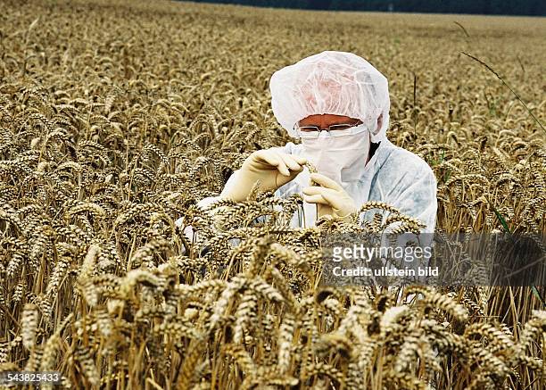 Wissenschaftler im Schutzanzug in einem Weizenfeld. Symbolbild .