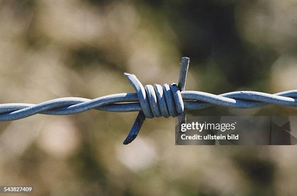 Stacheldraht-Knoten. Undatiertes Foto.