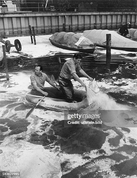 Feuerwehrmänner in einem Schlauchbootbeim Ausstreuen von Chemikalien in denWannsee, zur Bekämpfung eines ca. 2500 qmgrossen Ölteppich- September 1965