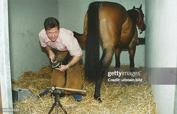 Der Hufschmied Stephan Ernesti passt einem Pferd in der Box ein Hufeisen an. .