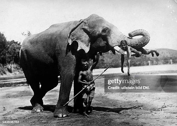 India - Indian elephant with mahouts. - Photographer: W. Gircke- 1921Vintage property of ullstein bild