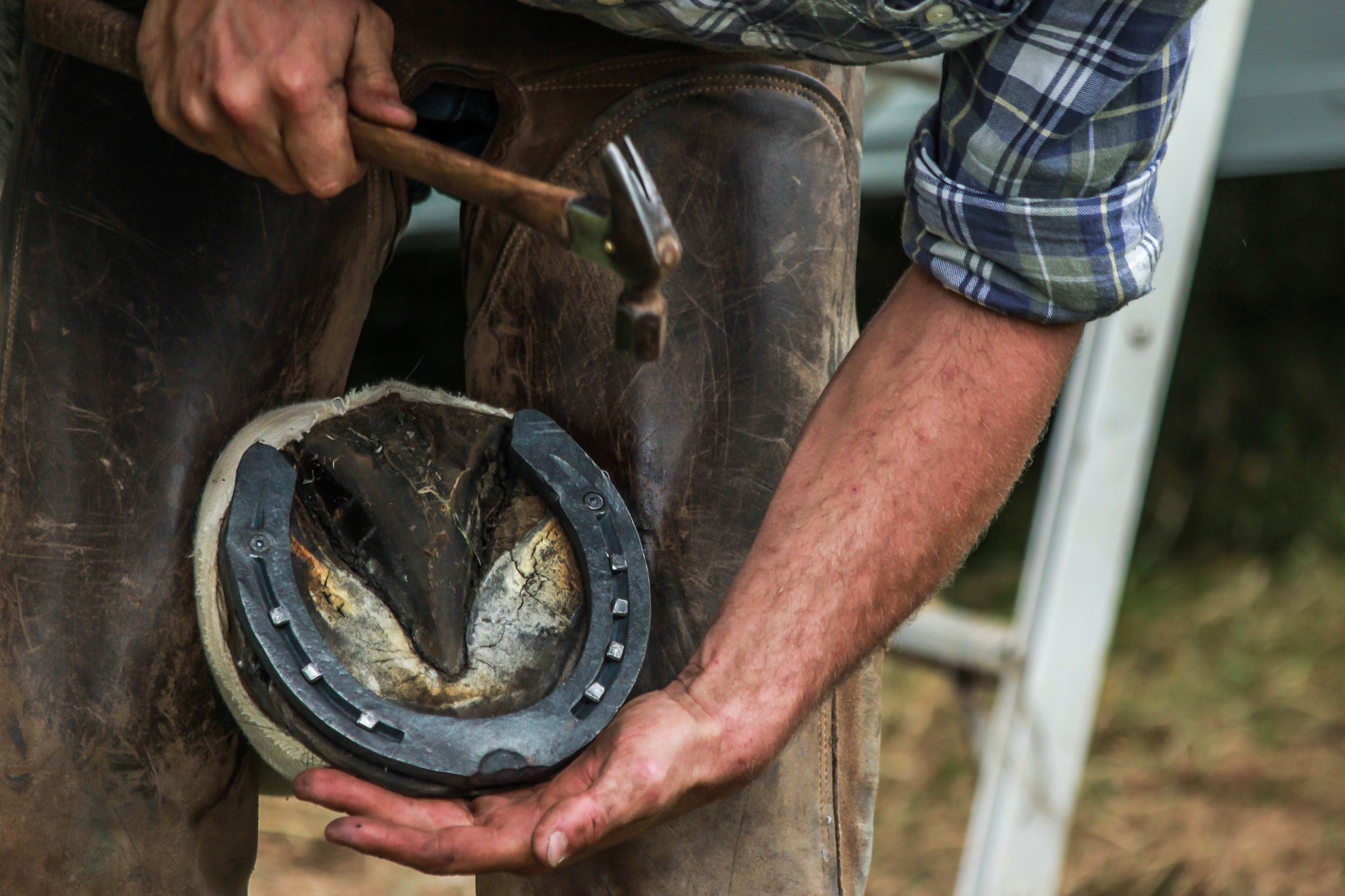 equestrian metal work