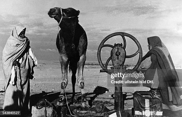 Bedouins at a well in the desert of Lybia - 1942- Photographer: Presse-Illustrationen Heinrich Hoffmann- Published by: 'Berliner Volkszeitung'...