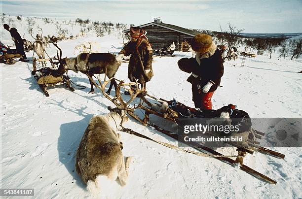 Zwei Lappen stehen in der verschneiten Winterlandschaft Lapplands vor Rentierschlitten. Die Rentiere sind an den Schlitten festgebunden, einige...
