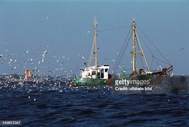 Ein Boot der Hamburger Elbfischer auf der Elbe. Möwen umkreisen den Fischkutter, im Hintergrund ziehen Segelboote vorbei.