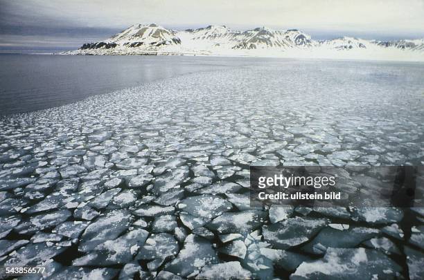 Insel Spitzbergen, Nordpolarmeer, Norwegen: Packeis im Eismeer vor der Magdalenenbucht. Aufgenommen 1995.