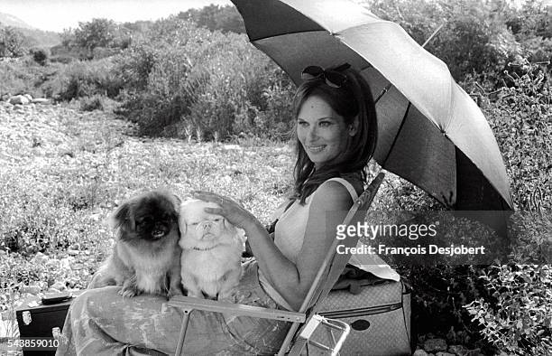 Actress Lea Massari sits in the shade of an umbrella with her two shih tzus on the set of Le Fils, in which she costars with Yves Montand.