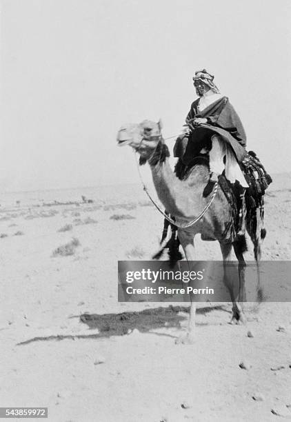 British Army officer Thomas Edward Lawrence, aka Lawrence of Arabia, mounted on his camel at Aquaba in present-day Jordan, during the Arab Revolt...