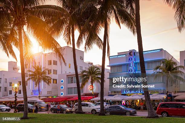 neon lights on ocean drive - ocean drive stockfoto's en -beelden