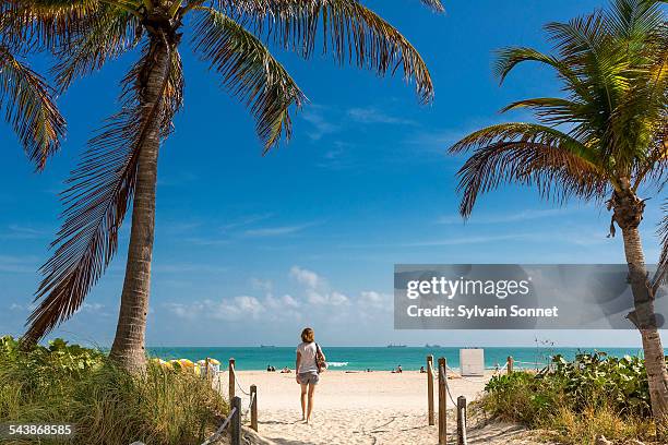 miami, beach of south beach - south beach stock pictures, royalty-free photos & images