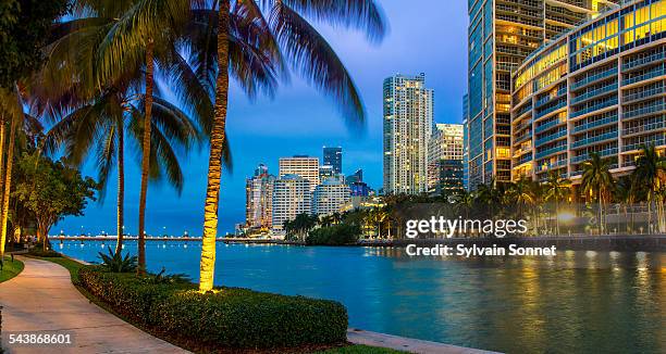 miami, downtown district at dusk - miami skyline stock-fotos und bilder