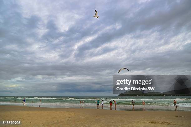 florianopolis - campeche beach - campeche stock pictures, royalty-free photos & images