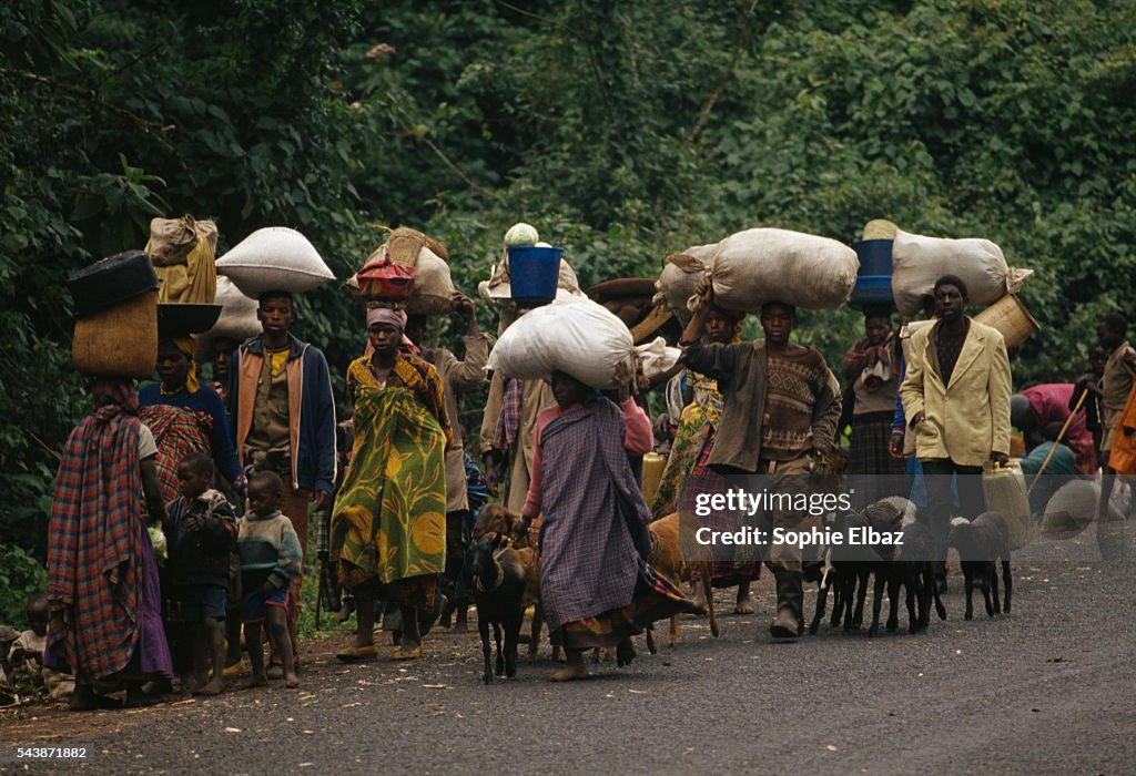 Rwandan Refugees Travel Between Ruhengeri and Goma